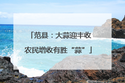 范县：大蒜迎丰收 农民增收有胜“蒜”