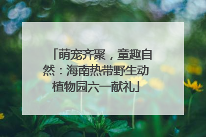 萌宠齐聚，童趣自然：海南热带野生动植物园六一献礼