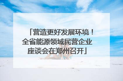 营造更好发展环境！全省能源领域民营企业座谈会在郑州召开