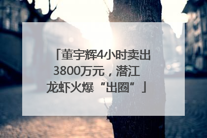 董宇辉4小时卖出3800万元，潜江龙虾火爆“出圈”