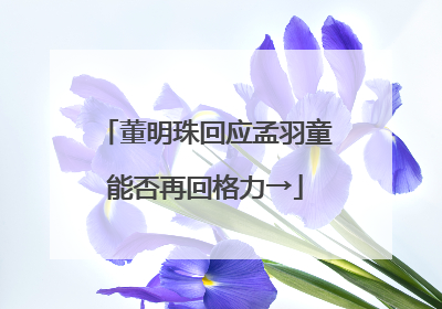董明珠回应孟羽童能否再回格力→