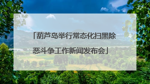 葫芦岛举行常态化扫黑除恶斗争工作新闻发布会