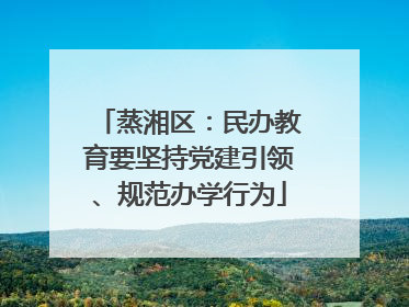 蒸湘区：民办教育要坚持党建引领、规范办学行为