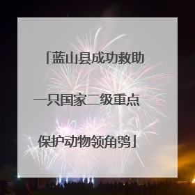 蓝山县成功救助一只国家二级重点保护动物领角鸮