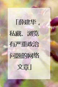 薛建华，私藏、浏览有严重政治问题的网络文章