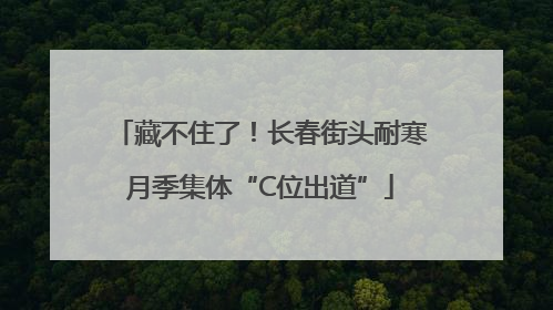 藏不住了！长春街头耐寒月季集体“C位出道”