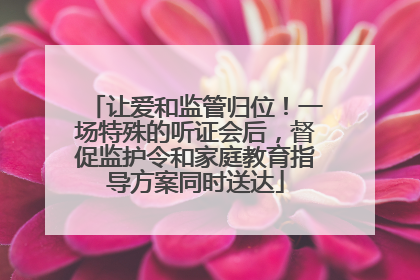 让爱和监管归位！一场特殊的听证会后，督促监护令和家庭教育指导方案同时送达