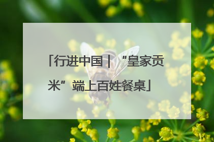 行进中国｜“皇家贡米”端上百姓餐桌