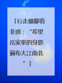 行走赣鄱看非遗：“希望岳家拳的身影遍布大江南北”