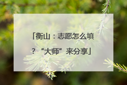 衡山：志愿怎么填？“大师”来分享