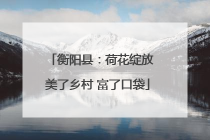 衡阳县：荷花绽放 美了乡村 富了口袋