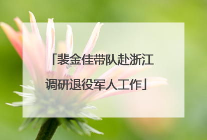裴金佳带队赴浙江调研退役军人工作