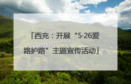 西充：开展“5·26爱路护路”主题宣传活动