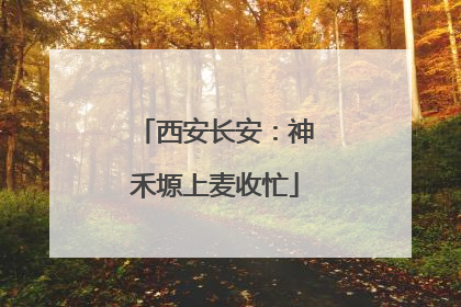 西安长安：神禾塬上麦收忙
