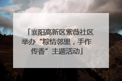 襄阳高新区紫薇社区举办“粽情邻里，手作传香”主题活动