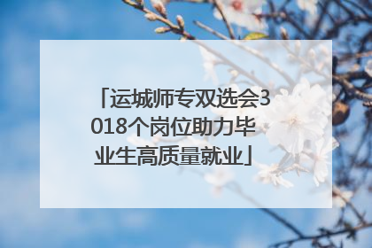 运城师专双选会3018个岗位助力毕业生高质量就业