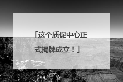 这个质促中心正式揭牌成立！