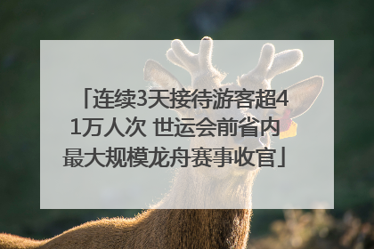 连续3天接待游客超41万人次 世运会前省内最大规模龙舟赛事收官