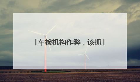 车检机构作弊，该抓