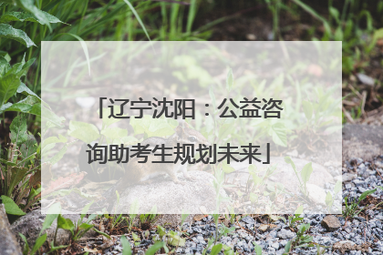 辽宁沈阳：公益咨询助考生规划未来