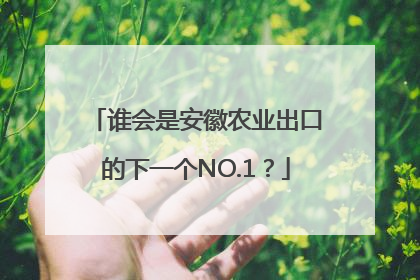 谁会是安徽农业出口的下一个NO.1？