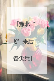豫北“飞”来后备尖兵