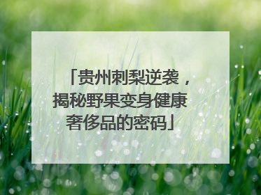 贵州刺梨逆袭，揭秘野果变身健康奢侈品的密码