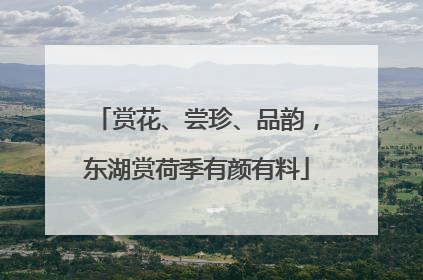 赏花、尝珍、品韵，东湖赏荷季有颜有料