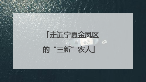 走近宁夏金凤区的“三新”农人