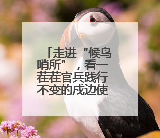 走进“候鸟哨所”，看一茬茬官兵践行不变的戍边使命