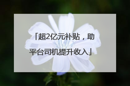 超2亿元补贴，助平台司机提升收入