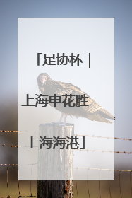 足协杯｜上海申花胜上海海港