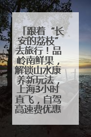 跟着“长安的荔枝”去旅行！品岭南鲜果，解锁山水康养新玩法，上海3小时直飞，自驾高速费优惠