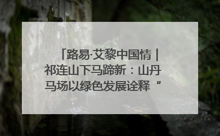 路易·艾黎中国情｜祁连山下马蹄新：山丹马场以绿色发展诠释“两山”理论实践
