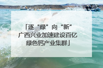 逐“绿”向“新” 广西兴业加速建设百亿绿色钙产业集群