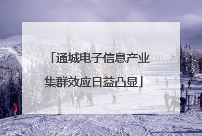 通城电子信息产业集群效应日益凸显