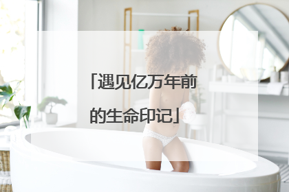 遇见亿万年前的生命印记