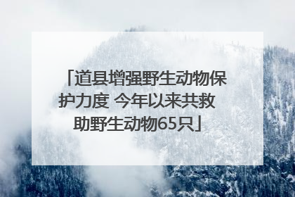 道县增强野生动物保护力度 今年以来共救助野生动物65只