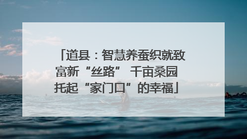 道县：智慧养蚕织就致富新“丝路” 千亩桑园托起“家门口”的幸福