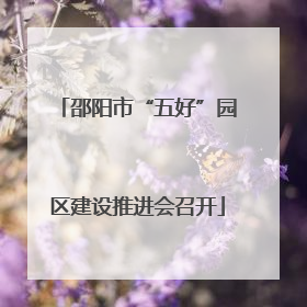 邵阳市“五好”园区建设推进会召开