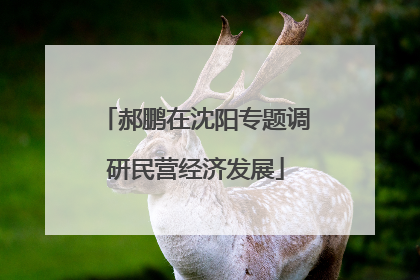 郝鹏在沈阳专题调研民营经济发展