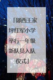 郧西王家坪红军小学举行一年级新队员入队仪式
