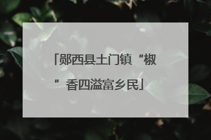 郧西县土门镇“椒”香四溢富乡民