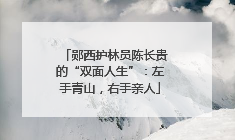 郧西护林员陈长贵的“双面人生”：左手青山，右手亲人