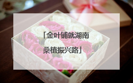 金叶铺就湖南桑植振兴路
