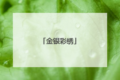 金银彩绣