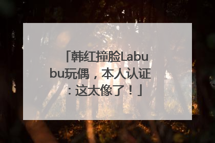 韩红撞脸Labubu玩偶，本人认证：这太像了！