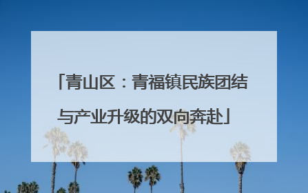 青山区：青福镇民族团结与产业升级的双向奔赴