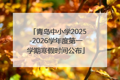 青岛中小学2025-2026学年度第一学期寒假时间公布