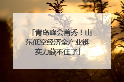 青岛峰会首秀！山东低空经济全产业链实力藏不住了
